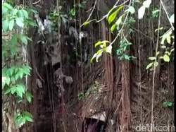 Satgas Citarum Kembali Pergoki Pabrik Buang Limbah ke Sungai