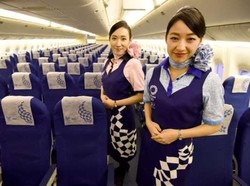 Jepang Tawarkan Penerbangan Domestik Gratis, Meski Overtourism?