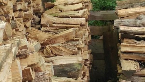 Gambar Membingungkan yang Bikin Netizen Berdebat Hebat