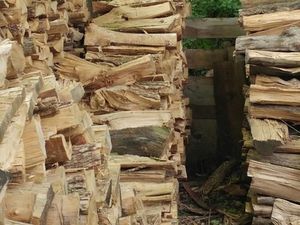 Gambar Membingungkan yang Bikin Netizen Berdebat Hebat