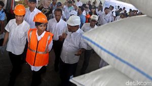 Menteri Rini Panen Raya 4000 Ton Gabah di Karawang
