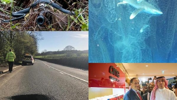 Riuh Dunia dalam Gambar: Bioskop di Saudi, Jaring Hantu di Karibia