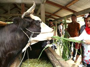 Puti Guntur Dukung Tulungagung Jadi Batu Kedua