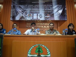 BKSDA DKI Kirim Orang Utan dan Beruang ke Kalteng untuk Dikarantina