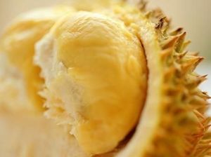 Mampir ke Jepara, Ini 6 Oleh-oleh yang Harus Dibawa Pulang! Mampir ke Jepara, Ini 6 Oleh-oleh yang Harus Dibawa Pulang!