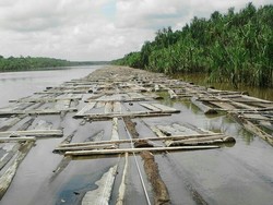 Ribuan Kayu di Sungai Musi Dibiarkan Tak Bertuan, Ini Penampakannya