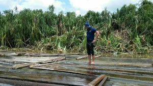 Foto: Penemuan Ribuan Kayu Illegal Logging di Sungai Musi