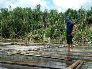Foto: Penemuan Ribuan Kayu Illegal Logging di Sungai Musi
