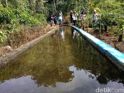 Masyarakat Juga Bisa Lho Produksi Listrik, Ini Caranya