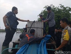 Bonita akan Dititipkan di Pusat Rehabilitasi Harimau Sumbar