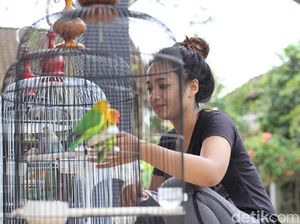 Gadis Manis dari Magelang Ini Berprofesi Juri Lomba Burung