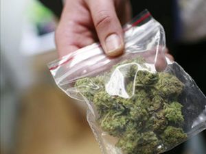 Partai Hijau Australia Ingin Ganja Dilegalkan