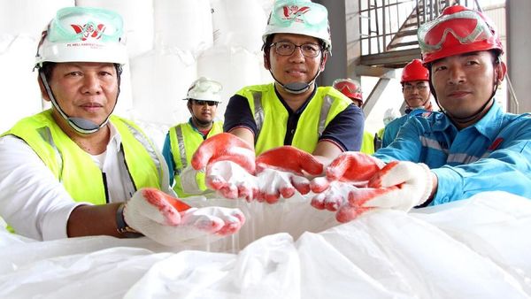 Tinjau Produksi Alumina di Ketapang