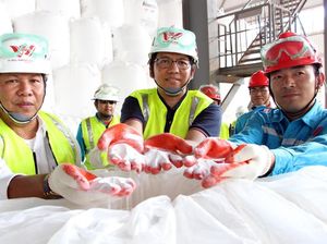 Tinjau Produksi Alumina di Ketapang