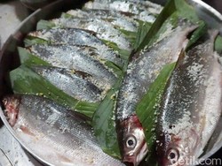 Bandeng, Si Ikan Susu yang Kaya Mineral dan Asam Lemak Esensial