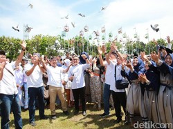 Ramainya Kontes Ayam Bekisar dan Cat Show Festival di Banyuwangi
