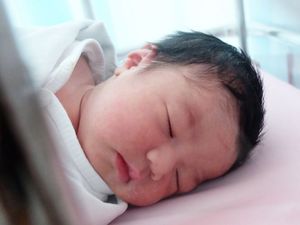 Lembar Putih Trinycta, Bayi Pipi Gembilnya Nycta Gina