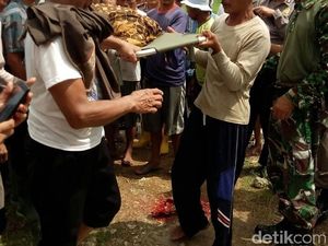 Nenek Pencari Rumput di Bojonegoro Tewas Tersambar Petir Nenek Pencari Rumput di Bojonegoro Tewas Tersambar Petir