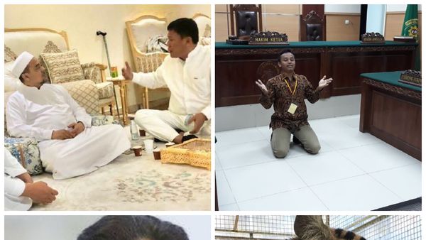 Berita Heboh: Kentut Ganti Nama, Harimau Bonita Dioperasi