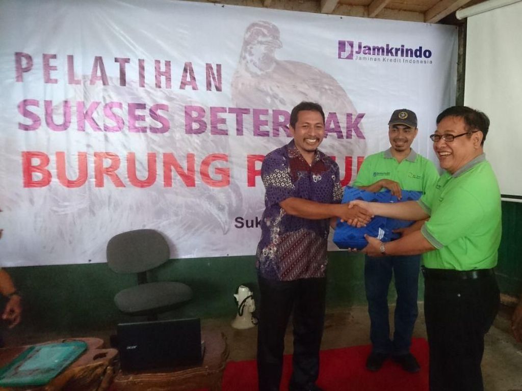 Menciptakan Pengusaha Baru Lewat Pelatihan Ternak Puyuh Menciptakan Pengusaha Baru Lewat Pelatihan Ternak Puyuh