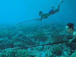 Marvel Punya Talocan, Indonesia Punya Suku Bajo