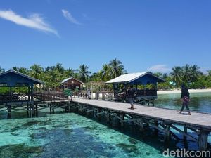 Sambut New Normal Pariwisata, Ini Persiapan Raja Ampat Sambut New Normal Pariwisata, Ini Persiapan Raja Ampat