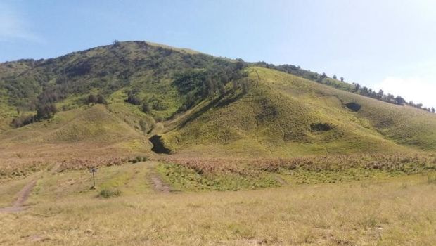 Bukit Teletubbies di Bromo