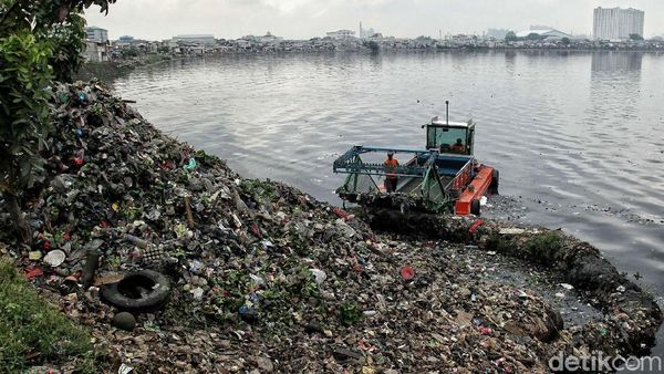 Foto: Waduk Pluit Dibersihkan