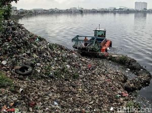 Foto: Waduk Pluit Dibersihkan