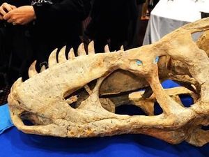 Nicholas Cage Beli Barang-barang Ini Sampai Terjerat Utang Nicholas Cage Beli Barang-barang Ini Sampai Terjerat Utang