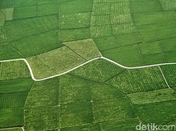 Mengapa Indonesia Disebut Negara Agraris? Ini Penjelasannya