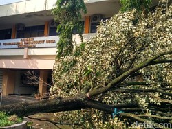 Kaget Ada Puting Beliung, Seorang Dosen STPMD Yogya Pingsan