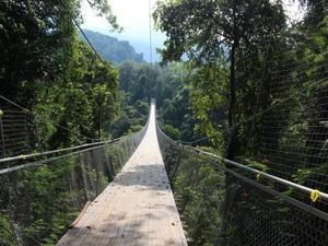 Jembatan Paling Instagenik di Sukabumi, Situ Gunung
