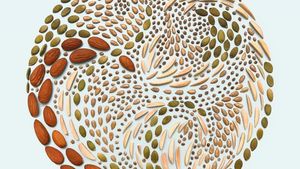 Keren! Remahan Biskuit dan Butiran Kacang Ini Disusun Jadi Pola Artistik
