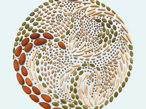 Keren! Remahan Biskuit dan Butiran Kacang Ini Disusun Jadi Pola Artistik