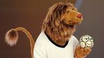 Inilah Maskot Piala Dunia dari Masa ke Masa