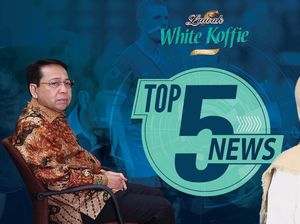 Setya Novanto Lesu Divonis 15 Tahun, Awkarin Jualan Hijab Setya Novanto Lesu Divonis 15 Tahun, Awkarin Jualan Hijab