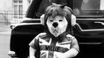 Foto: Maskot-maskot Piala Dunia