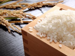 Ini 9 Jenis Makanan yang Awet Disimpan Lama di Dapur