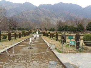 Srinagar, Wajah Cantik India di Balik Himalaya