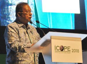 Ada Beda Data Pangan, Ini Respons Darmin