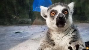 Harimu Berat? Coba Lihat 10 Foto Anti Stres Ini, Dijamin Hilang Lelahmu