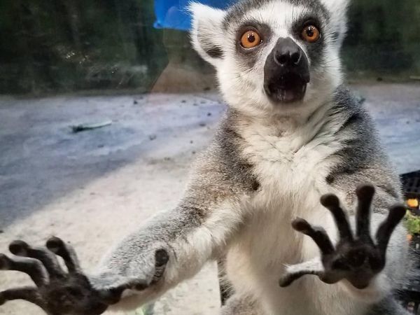 Harimu Berat? Coba Lihat 10 Foto Anti Stres Ini, Dijamin Hilang Lelahmu