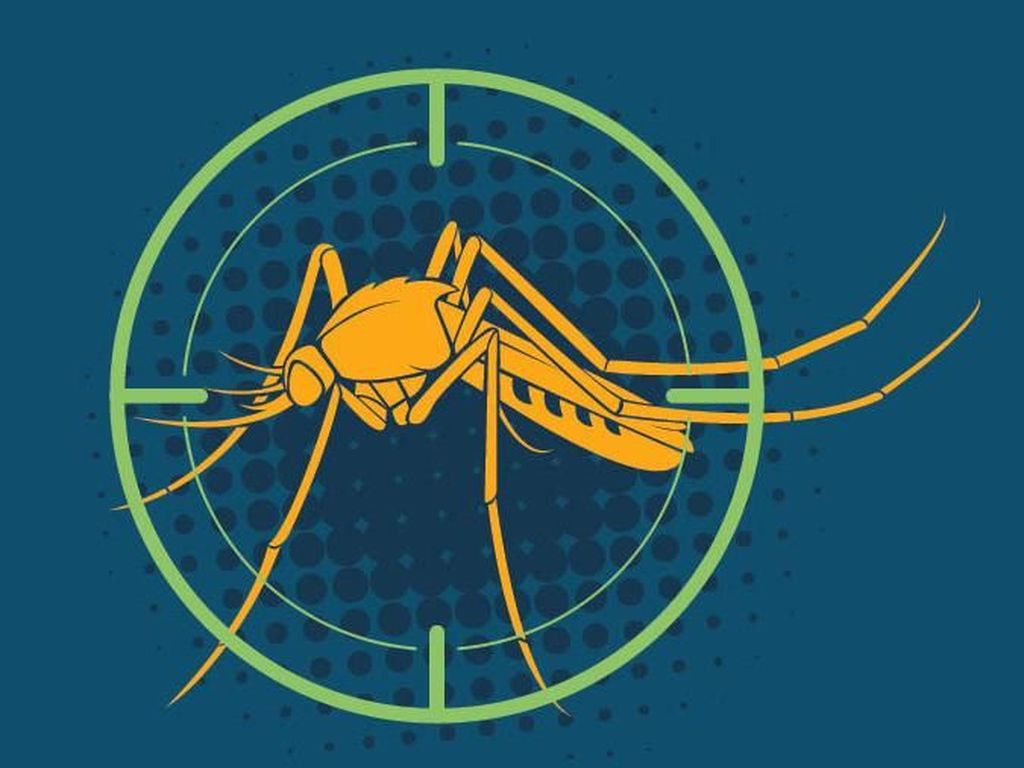 Infografis: Fakta Seputar Malaria di Indonesia