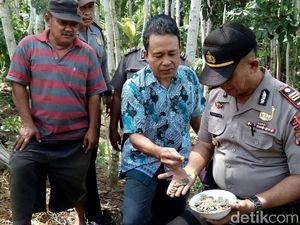 Sekarung Koin Kuno China di Banyuwangi Diserahkan ke Polisi Sekarung Koin Kuno China di Banyuwangi Diserahkan ke Polisi