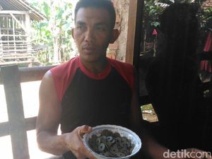 Sekarung Koin Kuno China Ditemukan di Belakang Rumah Warga Sekarung Koin Kuno China Ditemukan di Belakang Rumah Warga