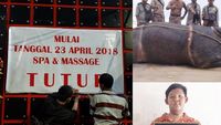 Berita Heboh: Badak Jawa Mati, Kabar Baru Ariya Bocah 188 Kg