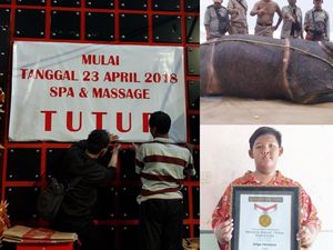 Berita Heboh: Badak Jawa Mati, Kabar Baru Ariya Bocah 188 Kg