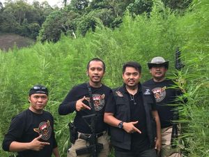 7 Hektare Ladang Ganja di Aceh Dibongkar BNN-Polri 7 Hektare Ladang Ganja di Aceh Dibongkar BNN-Polri