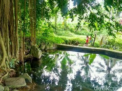 Mata Air Unik di Ciamis, Bergelembung Jika Ada Orang Berdehem